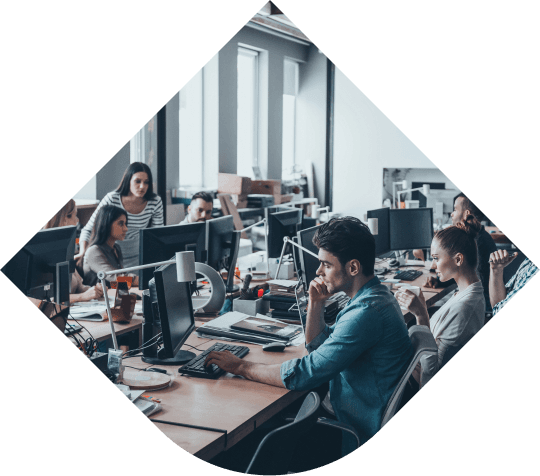 Consultants au travail